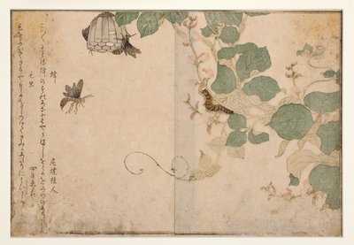 Wespen und haarige Raupe, 1788 (Holzschnitt) von Kitagawa Utamaro